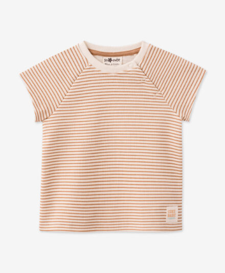 t-shirt neonato color crema