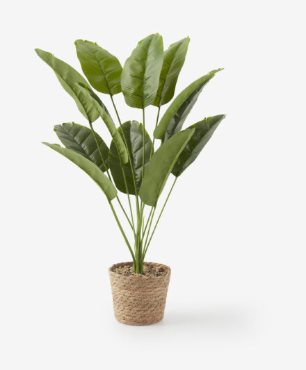 pianta artificiale in vaso