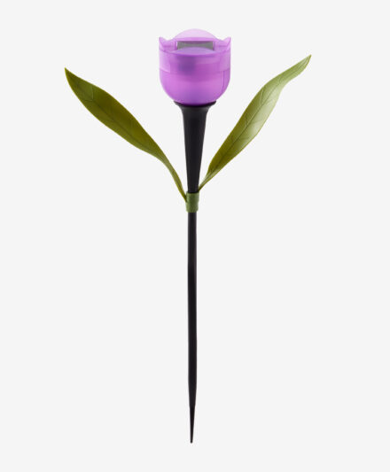 lampada solare tulipano viola