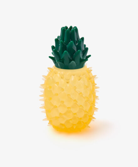 giocattolo rinfrescante ananas