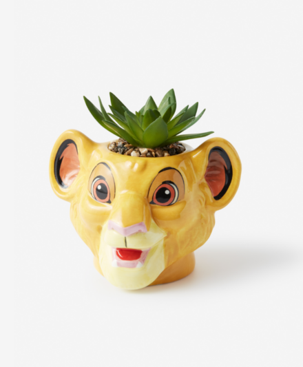 pianta con vaso de il re leone