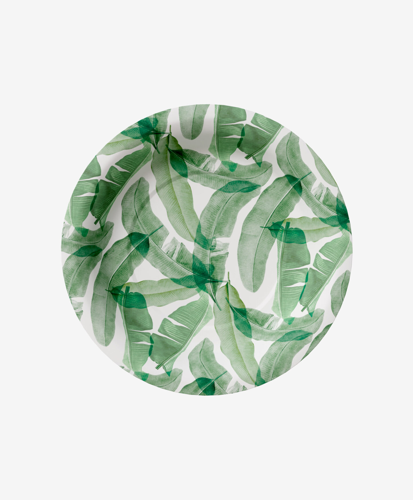 set piatti di carta con foglie