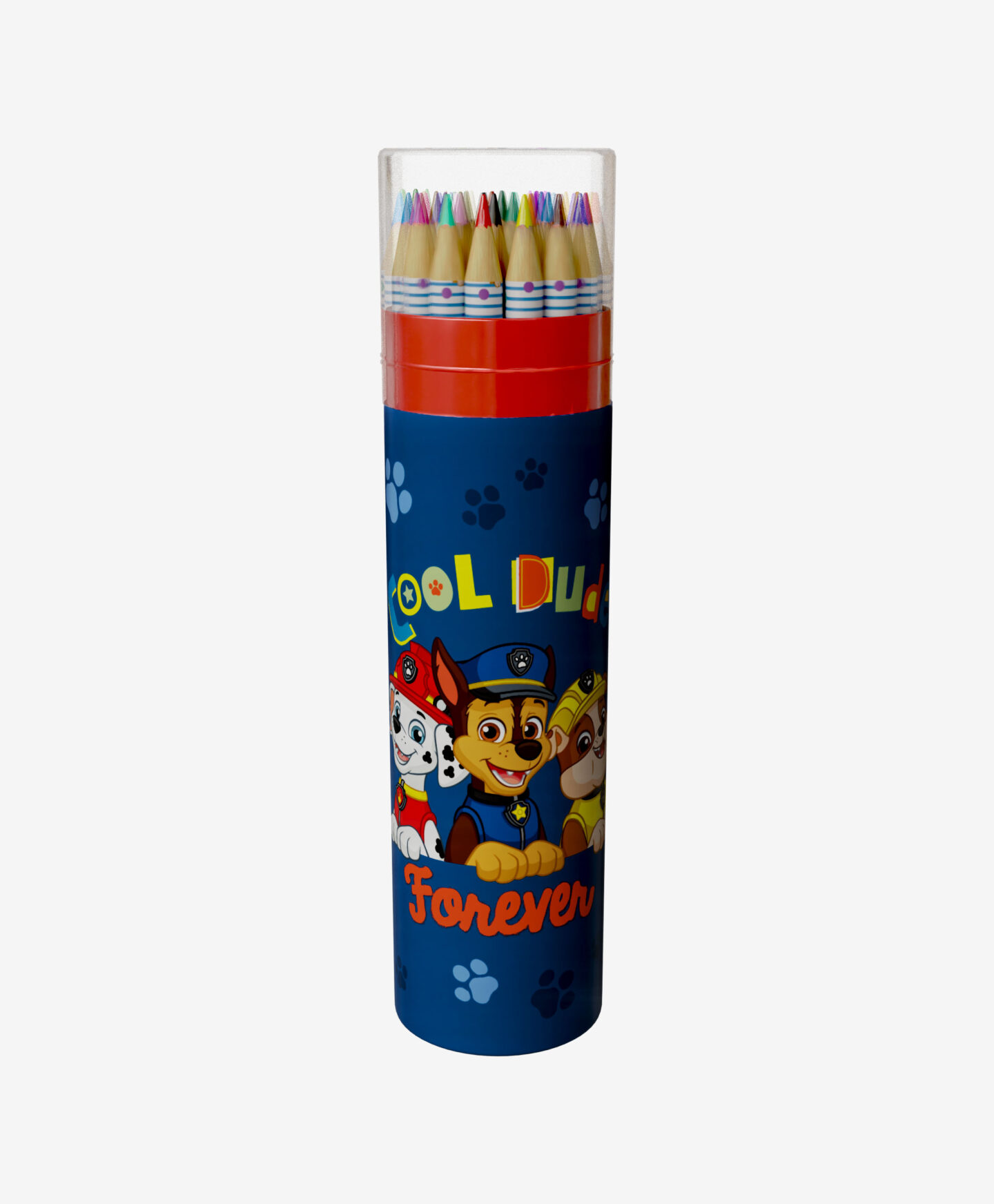 set matite colorate di paw patrol
