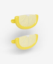 clip ferma telo a forma limone