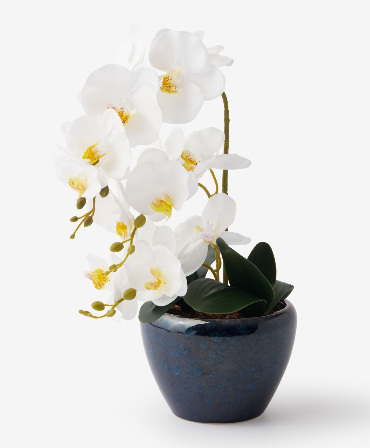 orchidea artificiale in vaso
