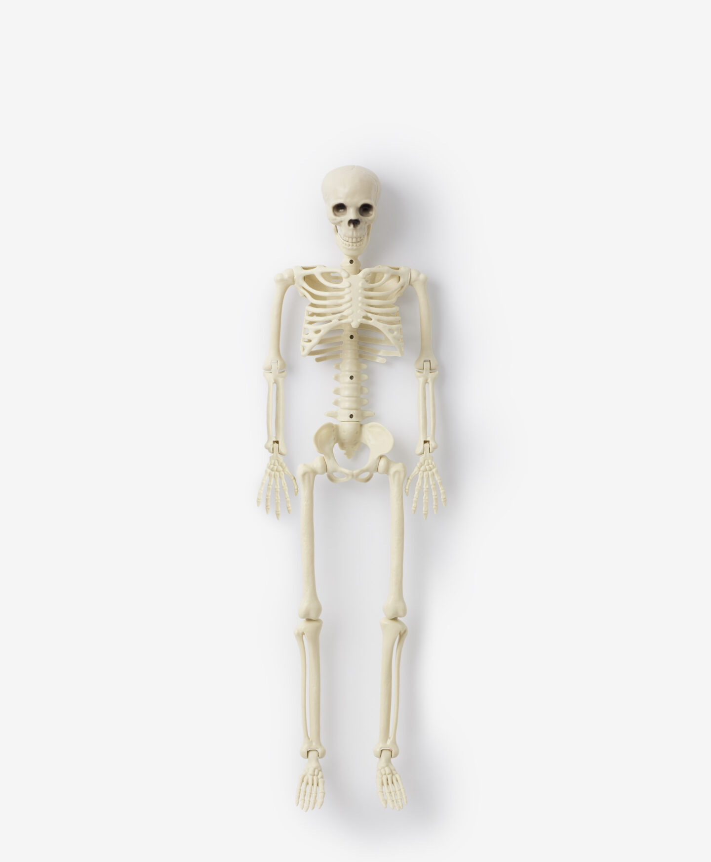 scheletro bianco halloween
