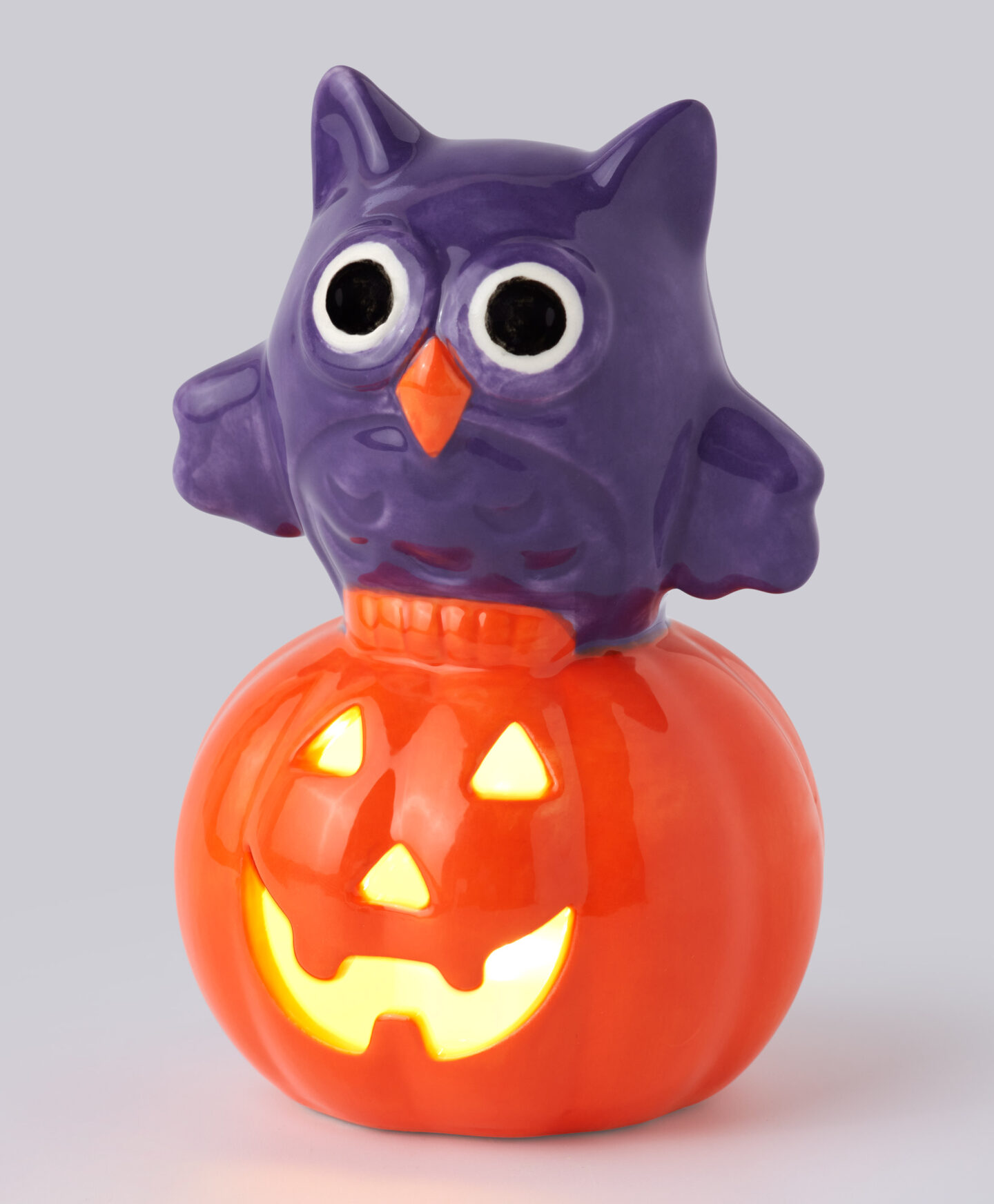 gufo led su zucca arancione