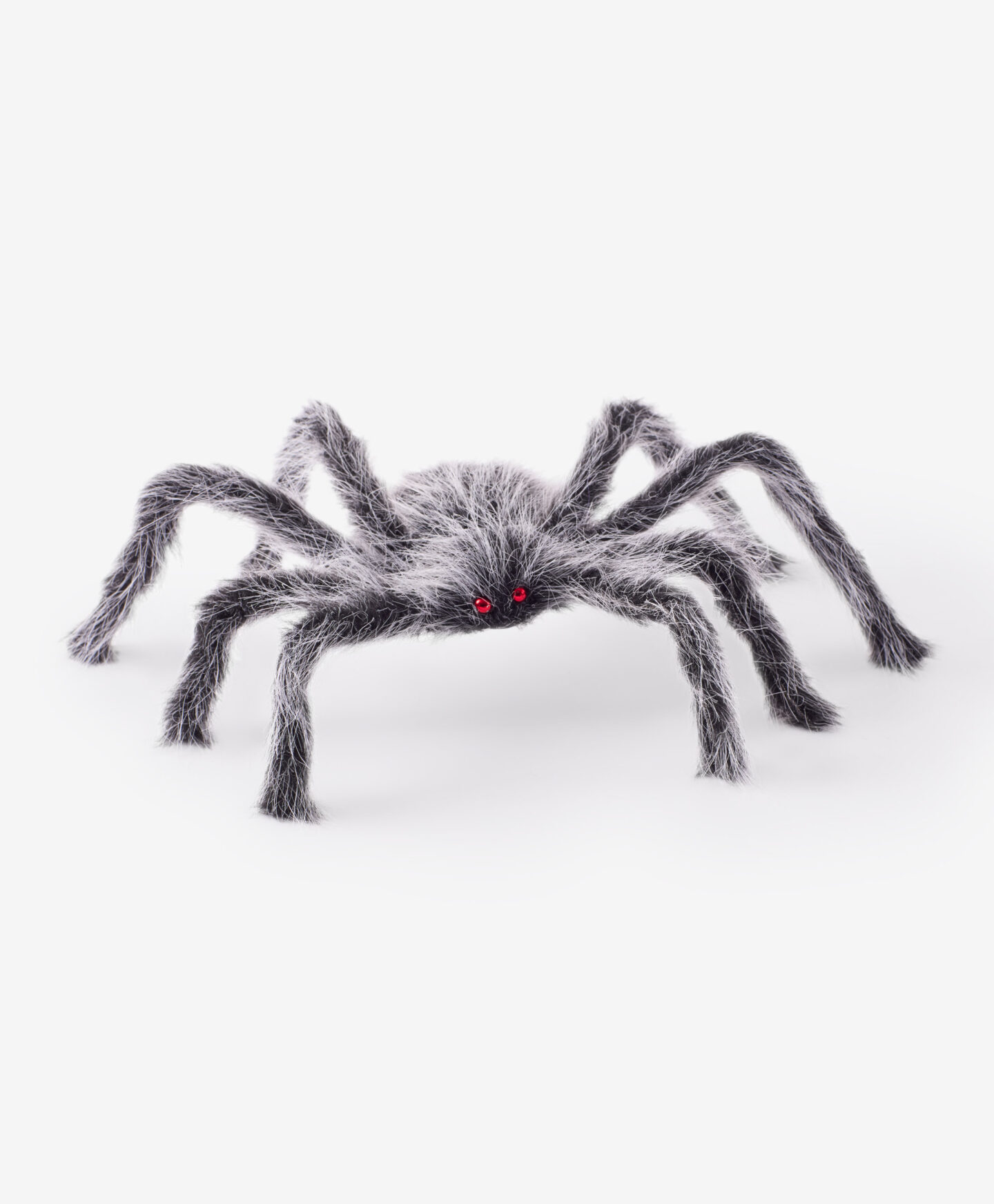 ragno peluche bianco e nero