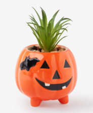 pianta artificiale con zucca