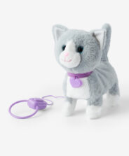 gatto grigio con guinzaglio viola