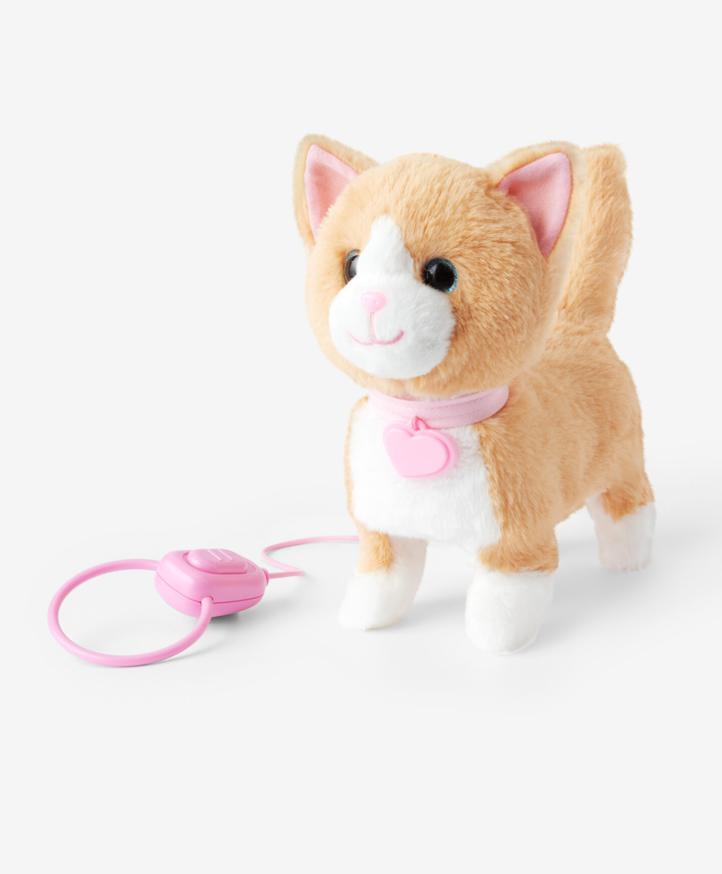 gatto rosso con guinzaglio rosa