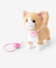 gatto rosso con guinzaglio rosa