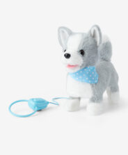 cagnolino con guinzaglio azzurro