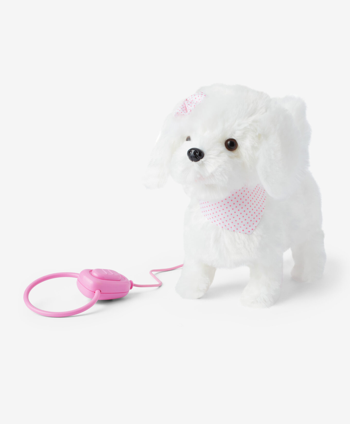 cagnolino con guinzaglio rosa