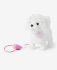 cagnolino con guinzaglio rosa