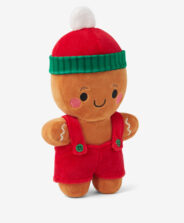 omino pan di zenzero con cappello