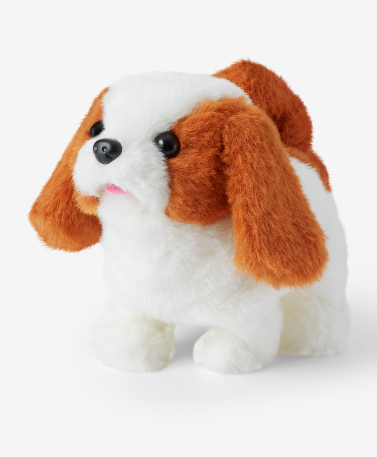 cane interattivo bianco e marrone