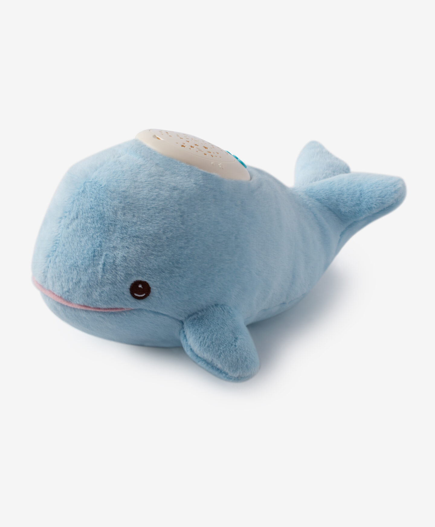 luce notturna a forma di balena