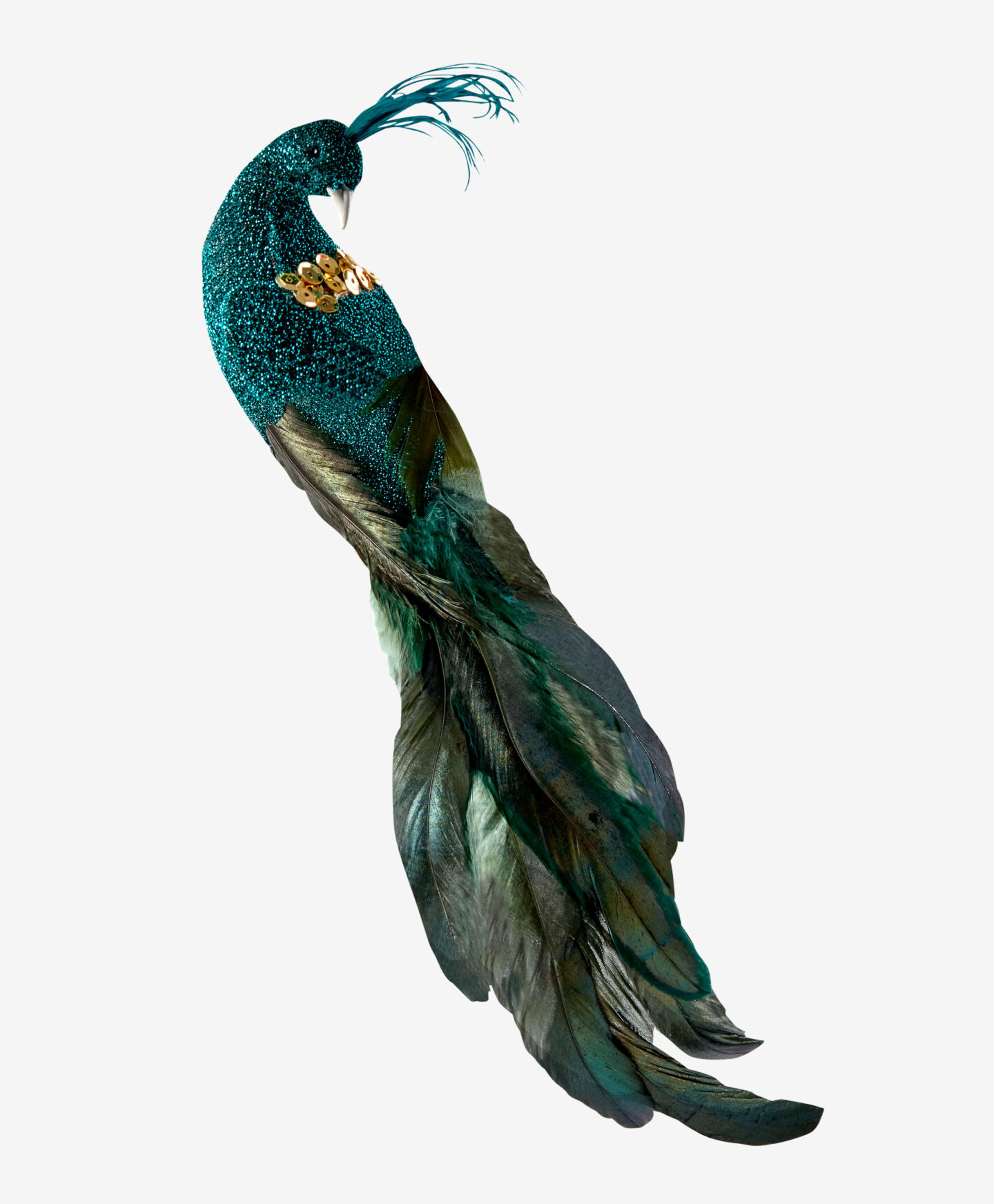 pavone decorativo turchese