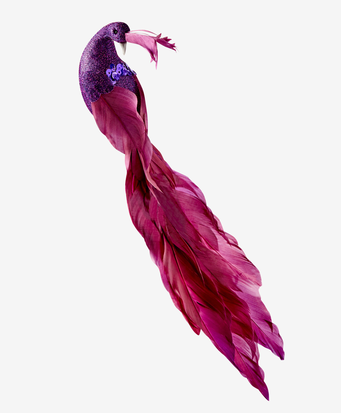 pavone decorativo viola