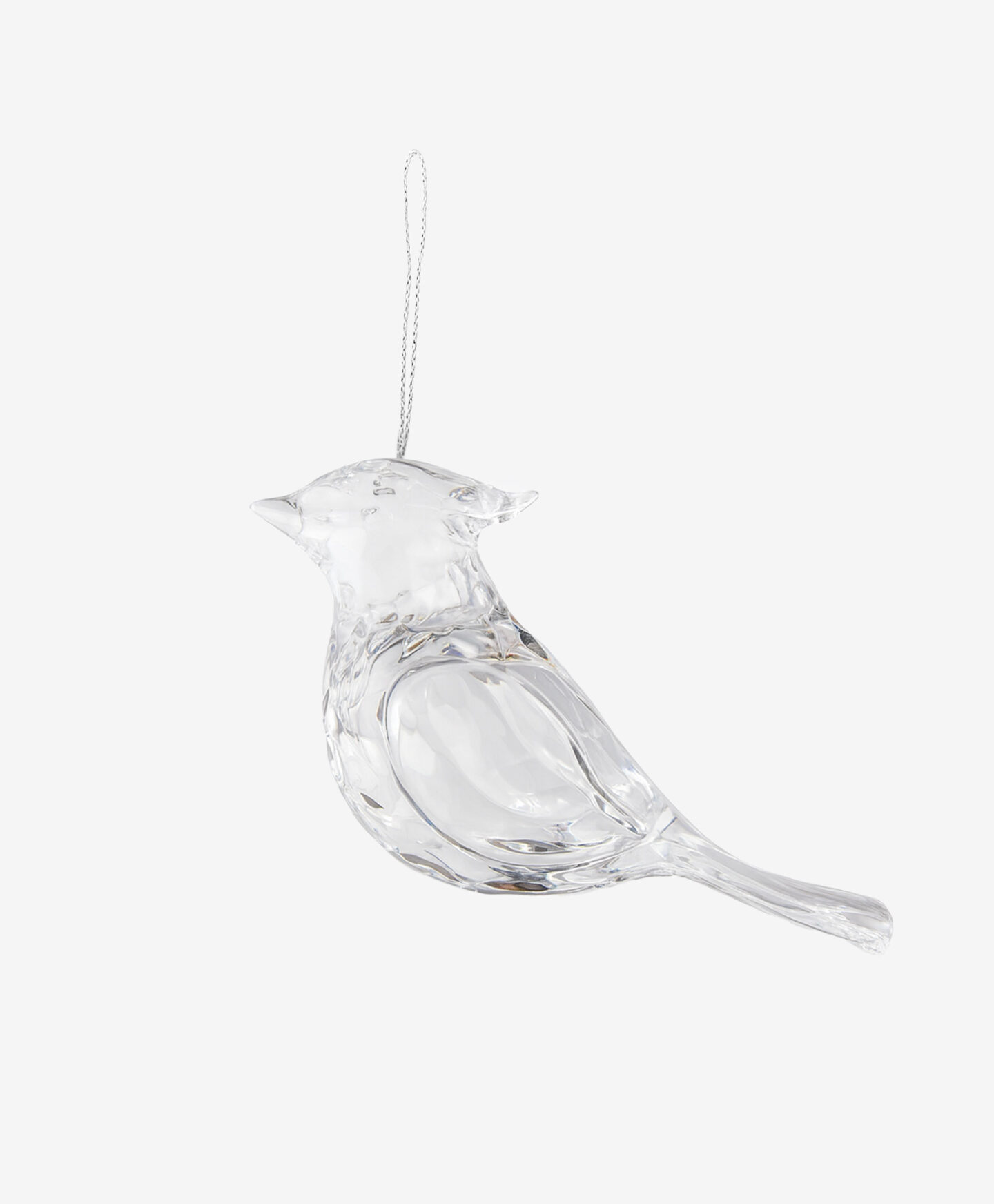 set uccellini iridescenti