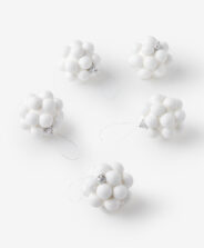 set cinque pigne bianche