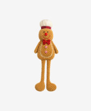 biscotto di zenzero decorativo