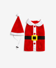 Świąteczne przebranie dla zwierząt