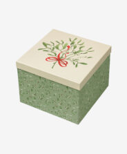 scatola natalizia bianca e verde