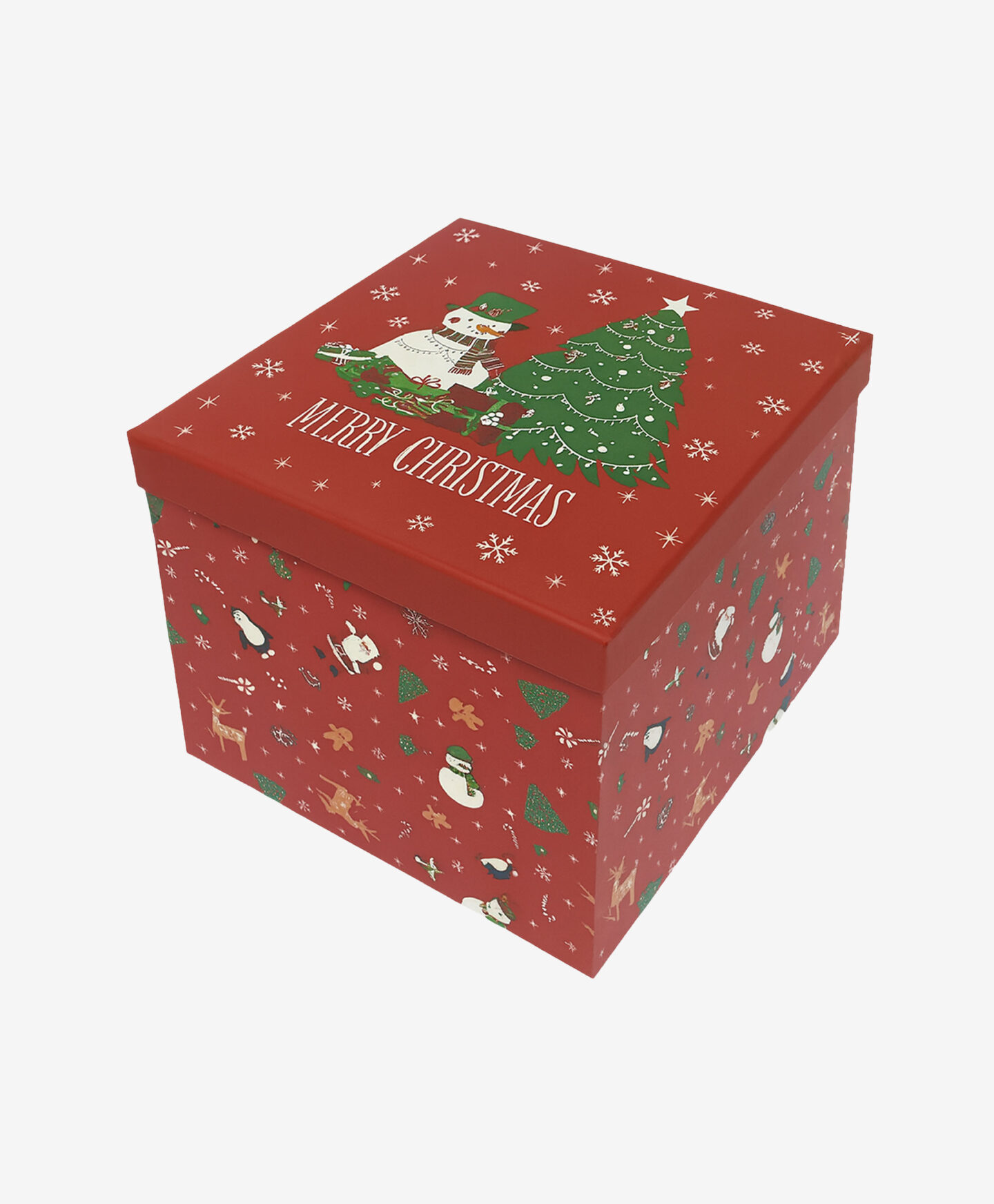 scatola con albero di natale