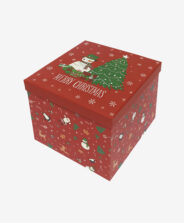 scatola con albero di natale