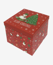 scatola rossa natalizia grande