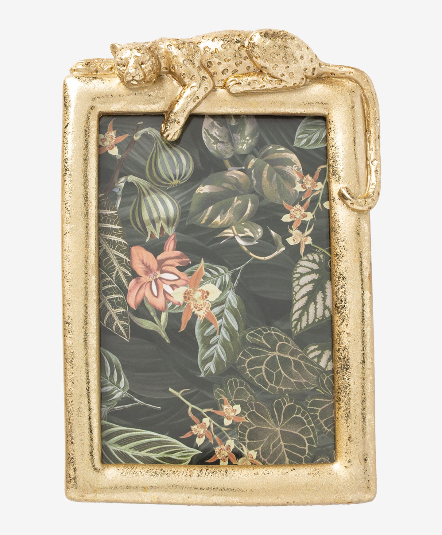 cornice dorata con ghepardo